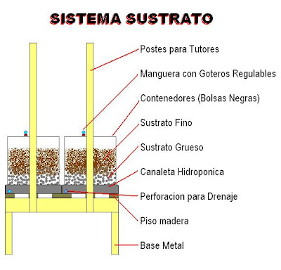 Hidroponico Grava